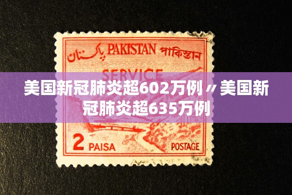 美国新冠肺炎超602万例〃美国新冠肺炎超635万例