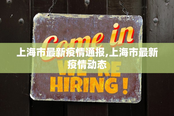 上海市最新疫情通报,上海市最新疫情动态