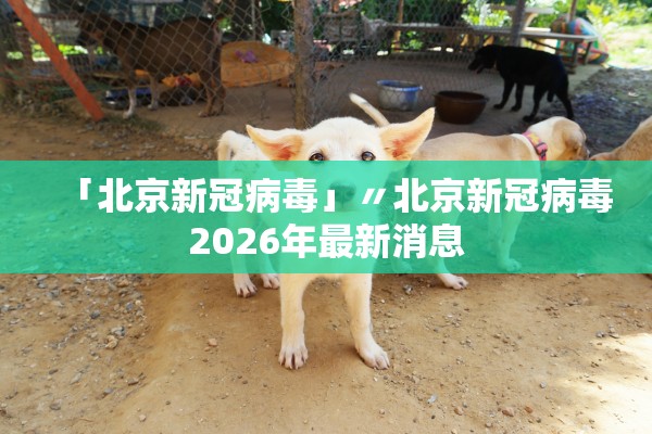 「北京新冠病毒」〃北京新冠病毒2026年最新消息
