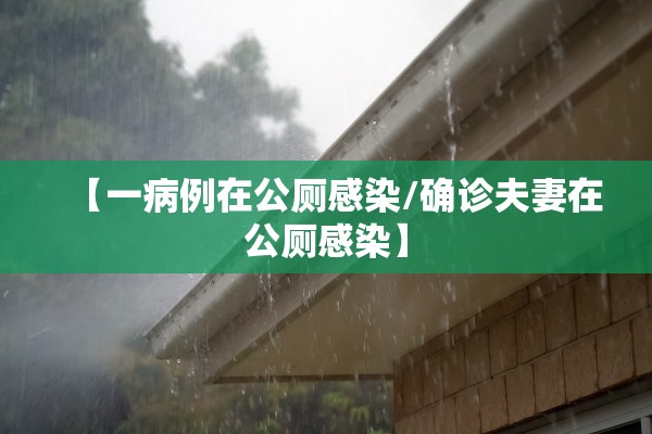 【一病例在公厕感染/确诊夫妻在公厕感染】