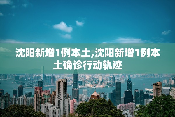 沈阳新增1例本土,沈阳新增1例本土确诊行动轨迹