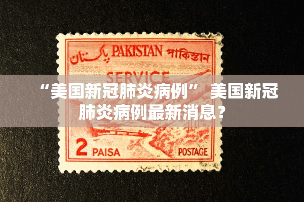 “美国新冠肺炎病例” 美国新冠肺炎病例最新消息？