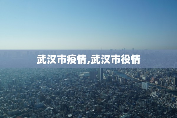 武汉市疫情,武汉市役情