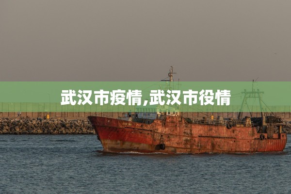 武汉市疫情,武汉市役情