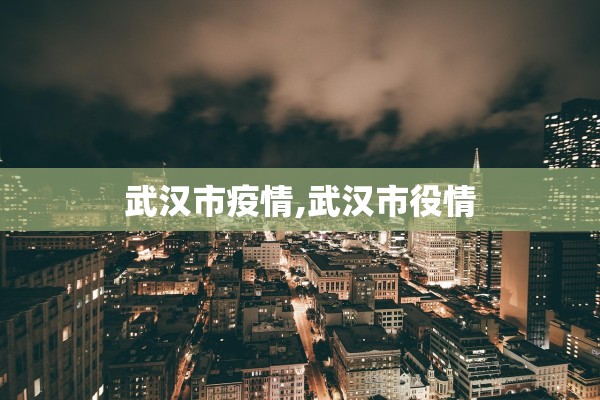 武汉市疫情,武汉市役情