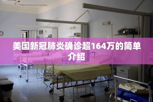 美国新冠肺炎确诊超164万的简单介绍