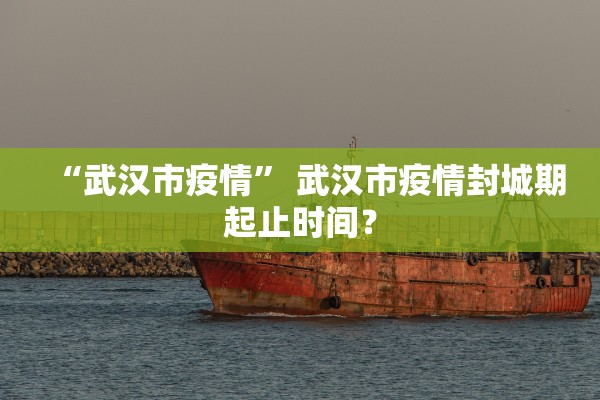 “武汉市疫情” 武汉市疫情封城期起止时间？