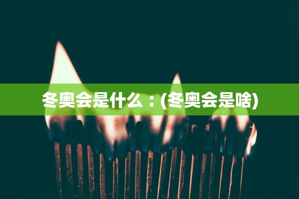 冬奥会是什么︰(冬奥会是啥)