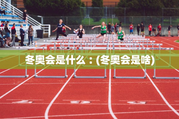 冬奥会是什么︰(冬奥会是啥)