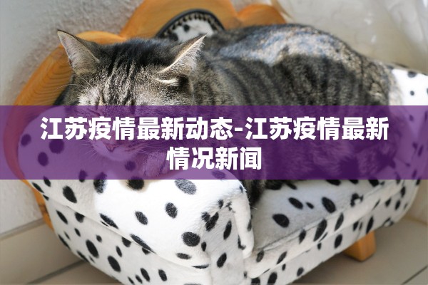 江苏疫情最新动态-江苏疫情最新情况新闻