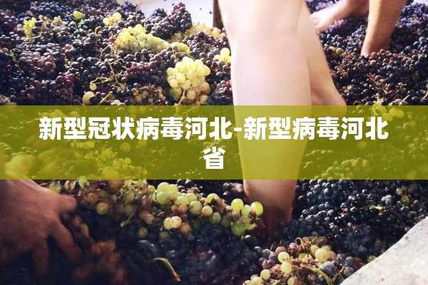 新型冠状病毒河北-新型病毒河北省 新型冠状病毒河北-新型病毒河北省