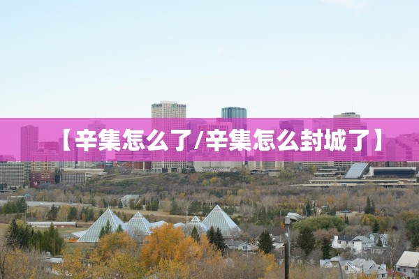 【辛集怎么了/辛集怎么封城了】