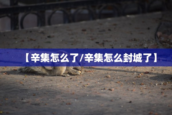 【辛集怎么了/辛集怎么封城了】