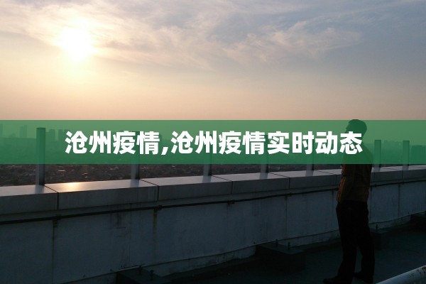 沧州疫情,沧州疫情实时动态