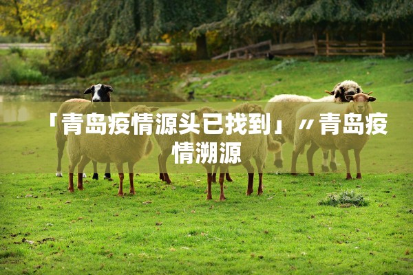 「青岛疫情源头已找到」〃青岛疫情溯源