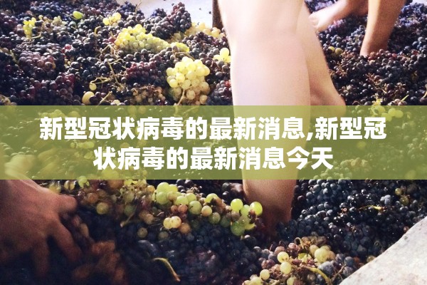 新型冠状病毒的最新消息,新型冠状病毒的最新消息今天