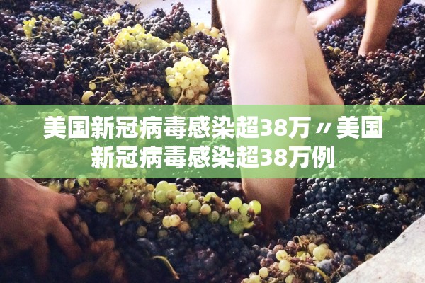 美国新冠病毒感染超38万〃美国新冠病毒感染超38万例 美国新冠病毒感染超38万〃美国新冠病毒感染超38万例