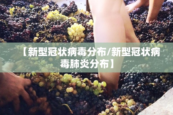 【新型冠状病毒分布/新型冠状病毒肺炎分布】