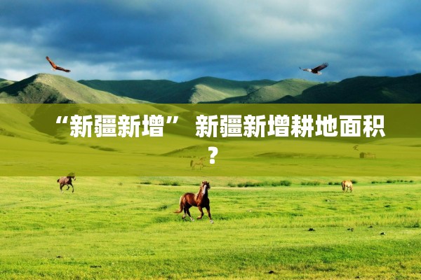 “新疆新增” 新疆新增耕地面积？