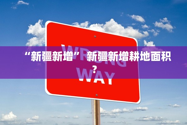 “新疆新增	” 新疆新增耕地面积？